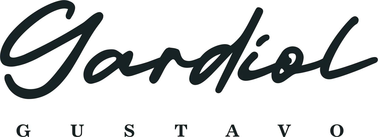 Gustavo gardiol pehuenche srl