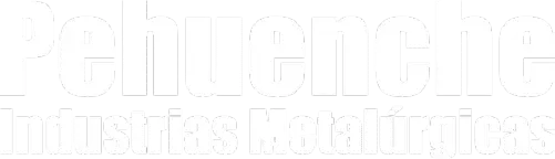 Gustavo gardiol pehuenche srl